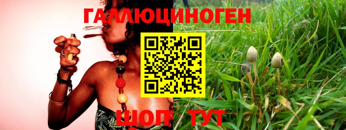 Ленинск-Кузнецкий  Галлюциногенные грибы мухоморы  Псилоцибиновые грибы мухоморы  Вход с VPN 