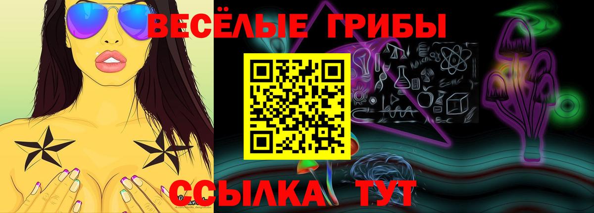 Галлюциногенные грибы мухоморы Ленинск-Кузнецкий